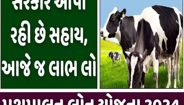 પશુપાલન માટે સરકાર આપશે લાખો રૂપિયા! કોને મળશે લાભ? જાણો કઈ રીતે કરવી અરજી
