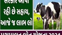 પશુપાલન માટે સરકાર આપશે લાખો રૂપિયા! કોને મળશે લાભ? જાણો કઈ રીતે કરવી અરજી