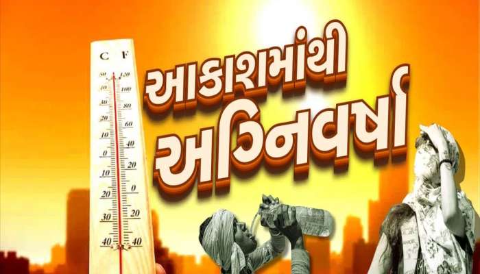 કાળઝાળ ગરમી સરકારને આભારી! 2870 ચો કિમી. ટ્રી કવર ઘટ્યું, છેલ્લા 3 વર્ષમાં આટલા વૃક્ષો કપાયા