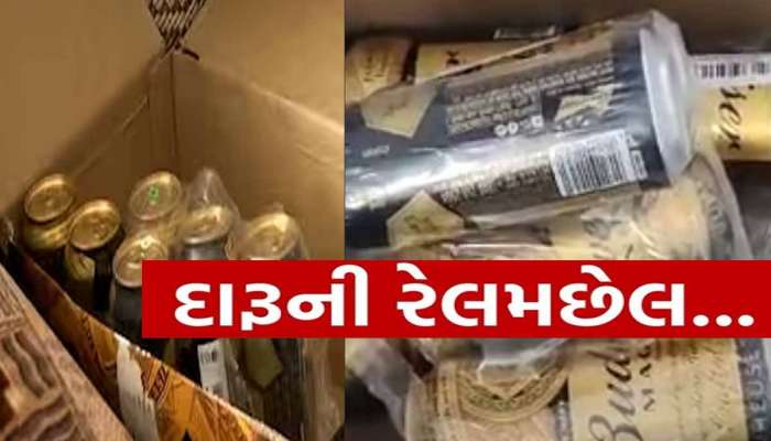 રાજકોટ હત્યાકાંડને લઈને સૌથી મોટો ખુલાસો! ગેમઝોનમાં દારૂની રેલમછેલ...બિયરના ટીન મળ્યા