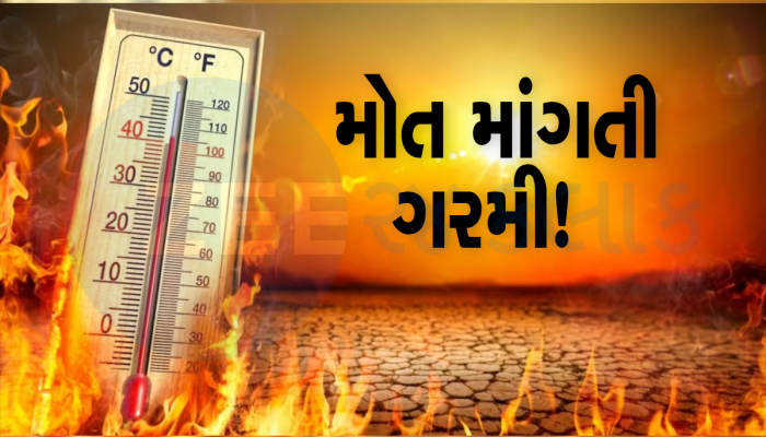 આ ગરમીએ તો જીવ લઈ લીધો! 6 દિવસમાં ગુજરાતમાં 1200 થી વધુ લોકો બીમાર પડ્યા