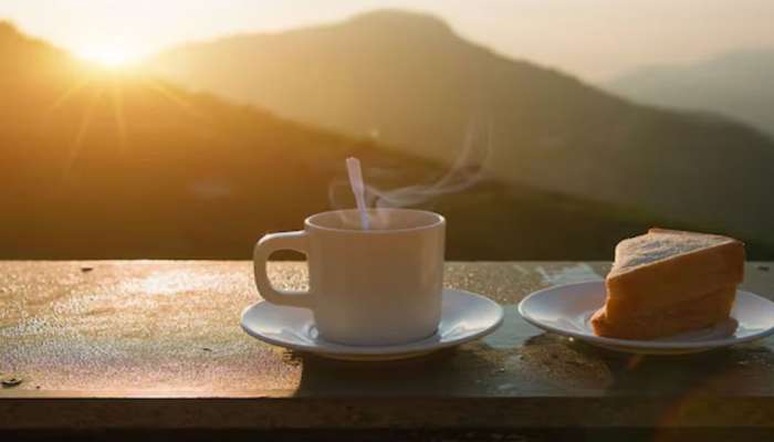 Morning Drinks: સ્વાસ્થ્ય સારું રાખવું હોય તો સવારે ખાલી પેટ ન પીવા આ 5 અનહેલ્ધી ડ્રિંક્સ