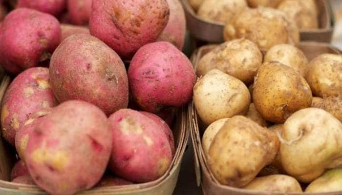 Red Potato: લાલ બટેટાના પોષકતત્વો અને ફાયદા જાણશો તો સફેદ બટેટા ખાવાનું છોડી દેશો 