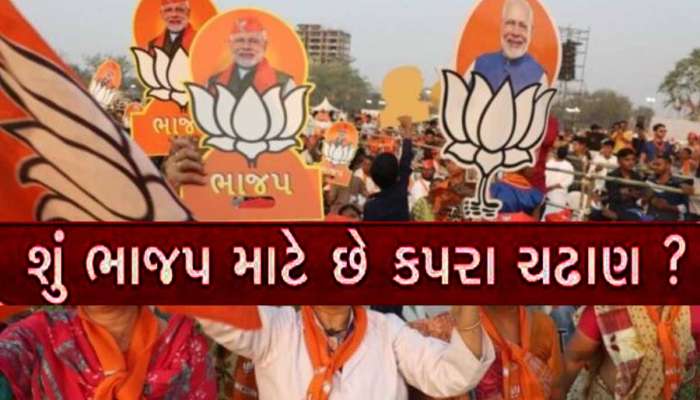 'ગુજરાતમાં ક્લિનસ્વીપ નહીં કરી શકે ભાજપ, વોટ શેર પણ ઘટશે', આ ભવિષ્યવાણીથી દેશમાં ભૂકંપ!