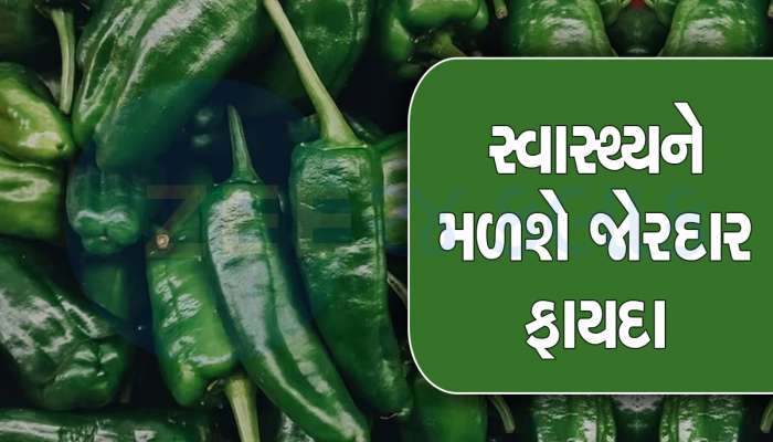 મોટાપો જ નહીં બ્લડ સુગરને પણ કંટ્રોલમાં રાખે છે લીલા મરચા, જાણો ફાયદા