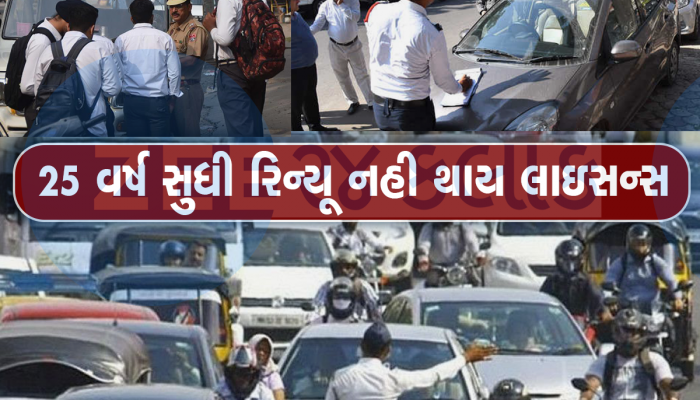 DL Rules: આજથી બદલાઇ ગયો ડ્રાઇવિંગ લાઇસન્સનો નિયમ, ભૂલ કરી તો ભરવો પડશે ₹25000 દંડ