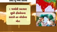 ભીષણ ગરમીથી અત્યાર સુધી 60 લોકોના મોત, તાપમાને તોડ્યા રેકોર્ડ, જાણો ક્યારે મળશે રાહત