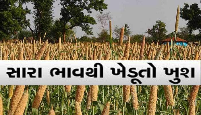 સાબરકાંઠાના ખેડૂતો ખુશખુશાલ! આ પાકનું ગુજરાત સરકાર કરી રહી છે ટેકાના ભાવે ખરીદી