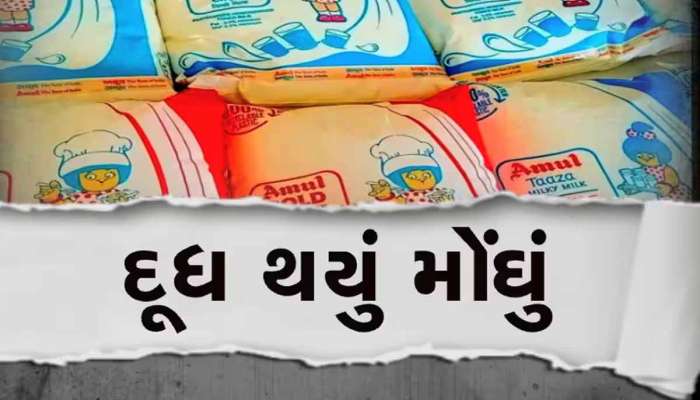પરિણામ પહેલા ફરી વધ્યા અમૂલ દૂધના ભાવ; જાણો કયા દૂધની કેટલી ચૂકવવી પડશે કિંમત?