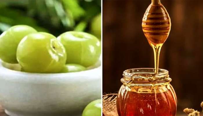 Health Tips: સરળતાથી મળી જતી આ 5 સસ્તી વસ્તુઓ શરીર માટે છે અમૃત, લિવર, હાર્ટ બધું જ રહે છે તંદુરસ્ત