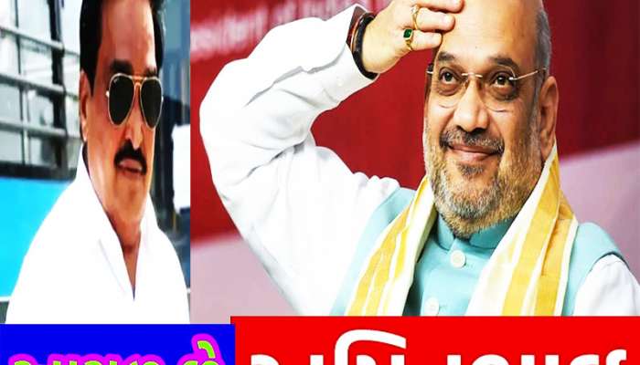 Lok Sabha Election 2024: પાટીલને પછાડી ભાજપના આ દિગ્ગજે સૌથી પહેલાં પાર કરી 5 લાખ મતોની લીડ, જીત નિશ્ચિત!