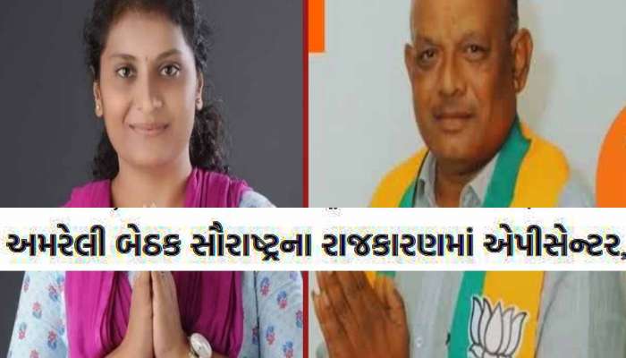 Amreli Loksabha: અમરેલી સીટ પર ભાજપનાં ભરત સુતરિયાની જીત, જેનીબેન ઠુમ્મરનો ના ચાલ્યો