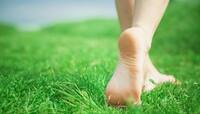 Walking on Grass: શું ખરેખર સવારે ખુલ્લા પગે ઘાસ પર ચાલવાથી આંખના નંબર ઉતરે ? 