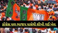 લોકસભા રિઝલ્ટ! ગુજરાતમાં 30 વિધાનસભા પર કોંગ્રેસ મજબૂત, ભાજપનો વોટશેર ઘટ્યો