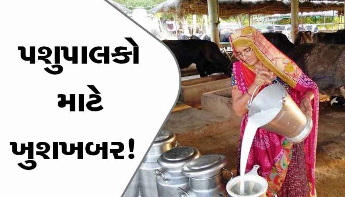પશુપાલકો માટે સૌથી મોટા ખુશખબર; ગુજરાતના આ જિલ્લામાં લેવાયો મહત્વનો નિર્ણય