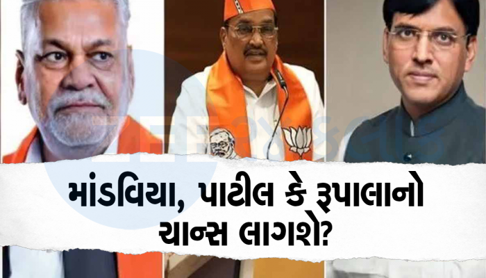 Result 2024: NDAની મજબૂરીમાં ગુજરાત સહન કરશે, આ નેતાઓ હવે દિલ્હીની ગાદી ભૂલી જાઓ