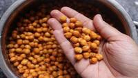 Chana Benefits: શરીર માટે લાભકારી છે ચણા, કોઈપણ રીતે ખાવ શરીરને થશે ફાયદો જ ફાયદો