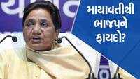 બહેનજીએ ભાજપને 16 સીટો ભેટ ધરી, UPમાં ભાજપ માંડ 17 બેઠકો જીતી શકી હોત