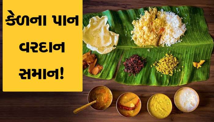 સ્વાસ્થય માટે વરસાદ સમાન છે કેળના પાન, જાણો કઇ રીતે..?