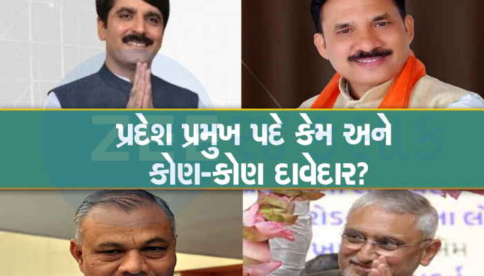 ગાંધીનગરમાં ગણગણાટ : નવા ભાજપ પ્રમુખ માટે કોણ ફીટ બેસશે! ક્ષત્રિય, ઓબીસી, આદિવાસી કે પછી પાટીદાર...? 
