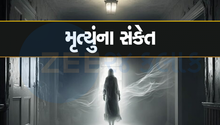 Signs of Death: પડછાયો ન દેખાય તો સમજવું કે મૃત્યુંની ઘડી નજીક છે, શરીરમાં આવે છે આવા ફેરફાર