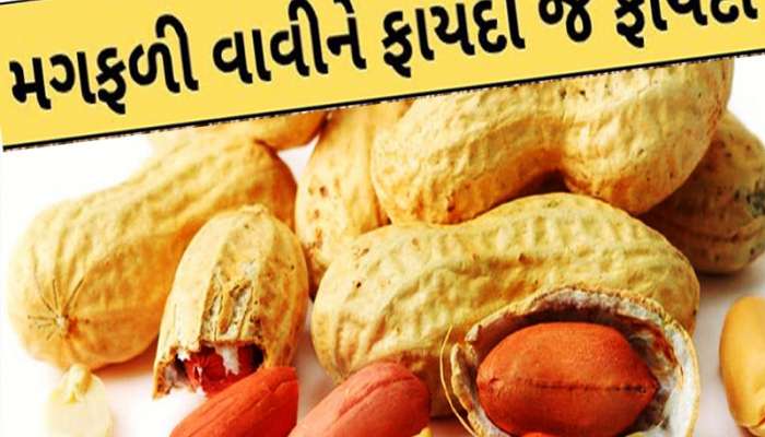 વાહ મારા બનાહ કોંઠા! ચીન, બ્રાઝિલ, થાઈલેન્ડ જેવા દેશોમાં આપણી મગફળીની ધૂમ