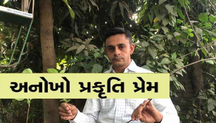 મહેસાણાના શિક્ષકના પ્રકૃતિ પ્રેમને દિલથી એક સલામ! પોતાના ઘરમાં જ ઊભું કરી દીધું મીની જંગલ
