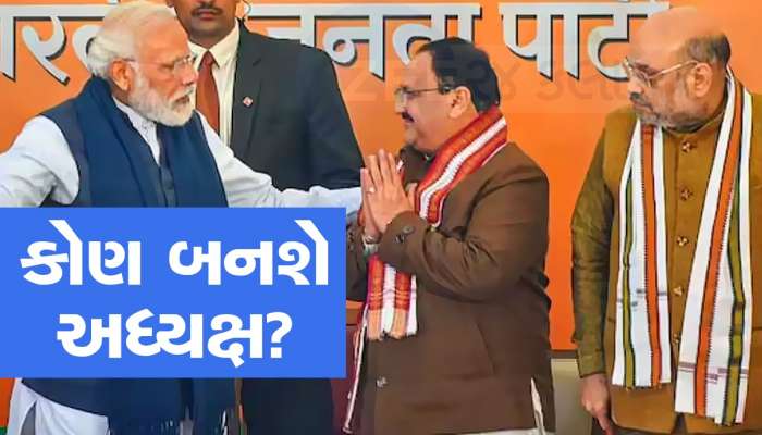 દલિત, ઓબીસી કે મહિલા... આમાંથી કોઈ બની શકે ભાજપના આગામી અધ્યક્ષ, RSSના આશીર્વાદ પણ જરૂરી