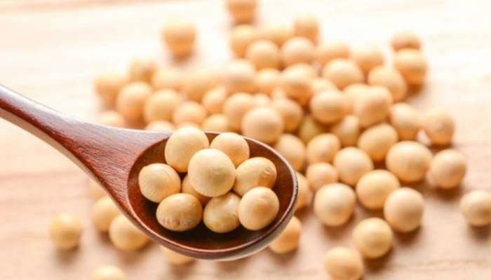 High Protein Food: ઈંડા અને માંસ કરતા પણ વધારે શક્તિશાળી છે આ વસ્તુ, ખાવાથી શરીરને મળશે ભરપુર પ્રોટીન 