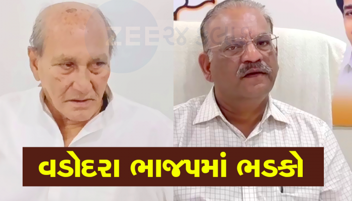 ભાજપમાં ભડકો : ધારાસભ્યએ ભાજપ પ્રમુખને સંભળાવી દીધું, મારી પાસે ખજાનો છે, હું આગેવાની લઈશ તો માઠું લાગશે