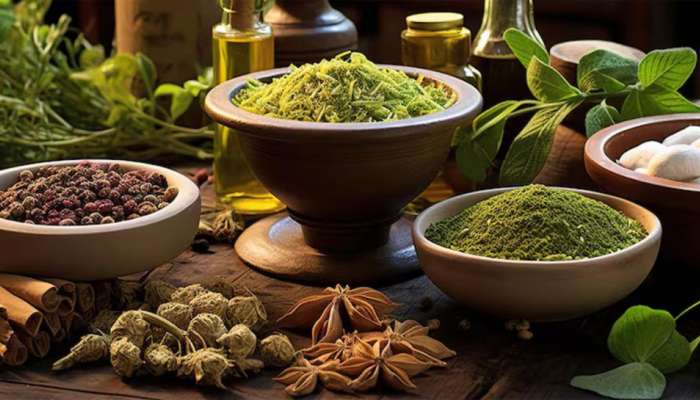 Ayurvedic Herbs: એકવાર વાંચો અને યાદ રહી જાય, યાદશક્તિને એટલી સારી બનાવે છે આ 4 આયુર્વેદિક જડીબુટ્ટીઓ