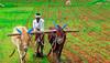 ગુજરાતના ખેડૂતો માટે માથાનો દુખાવો બનશે તોફાની પવન, ભીમ અગિયારસે વાવણી સમયે આવી શકે છે મોટું સંકટ 
