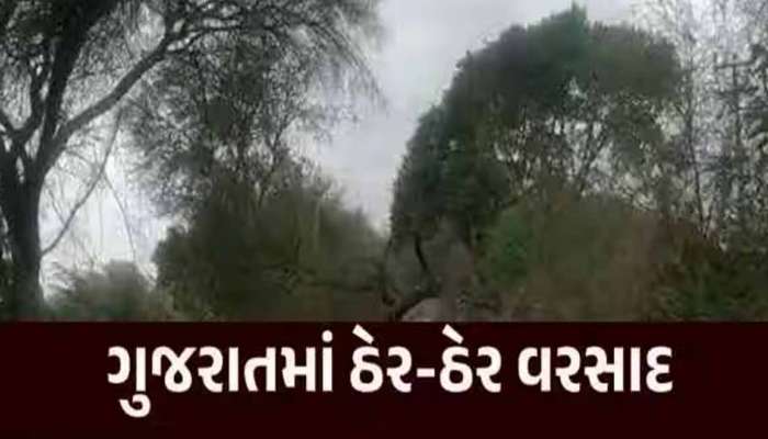 દ્વારકાના ખંભાળિયામાં બારે મેઘ ખાંગા! 10 ઈંચ વરસાદની જળબંબાકાર, અનેક વિસ્તારો જળમગ્ન