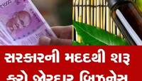 Startup Idea: 90% સુધી લોન અને 25 ટકા સુધી મળે છે સબ્સિડી, નોકરી છોડો અને આ ધંધો કરો