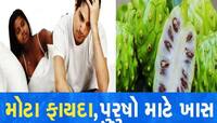 પુરુષોની 100 બીમારીઓ થશે કંટ્રોલ! પાચનથી 'પાવર' સુધી બધા પ્રોબ્લેમ સોલ્વ કરશે આ ફળ