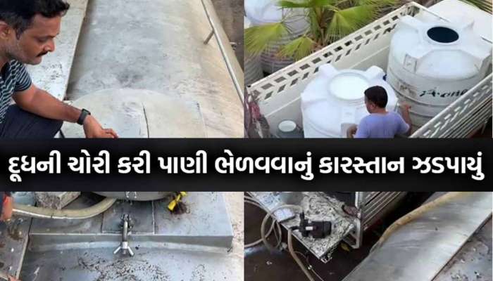 હદ છે યાર! દૂધમાં ભેળસેળ કરવા બનાવી દીધો આખેઆખો પ્લાન્ટ! જેતપુરની ઘટનાથી સૌ કોઈ સ્તબ્ધ