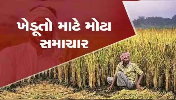 Modi Cabinet Meeting: MSPને લઈને મોદી સરકારની મોટી જાહેરાત, કેબિનેટની બેઠકમાં આ 14 પાકો પર લેવાયો નિર્ણય
