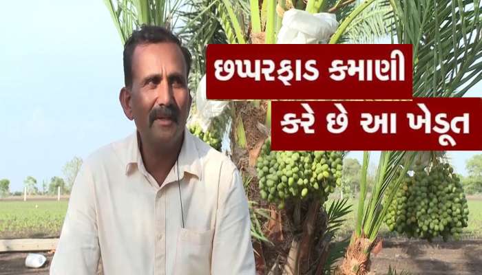 ગુજરાતના આ ખેડૂતની મહેનત રંગ લાવી, ઝીરો ખર્ચમાં લાખોની કમાણી કરીને બન્યા આત્મનિર્ભર