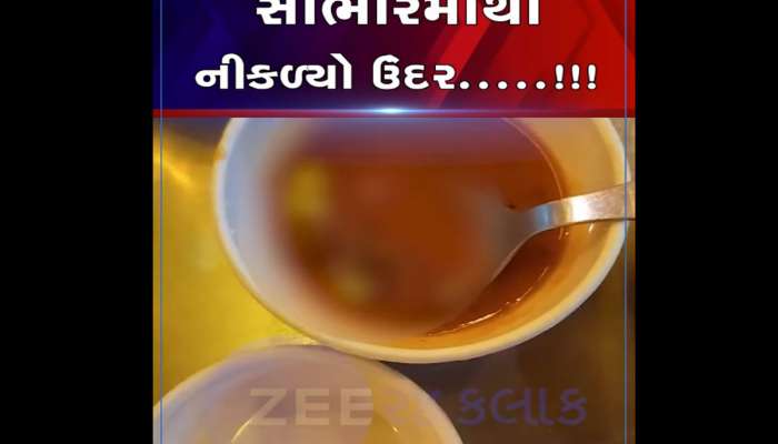 સાંભારમાંથી નીકળ્યું ઉંદરનું બચ્ચું, અમદાવાદની એક રેસ્ટોરન્ટની હચમચાવી દેતી ઘટના 
