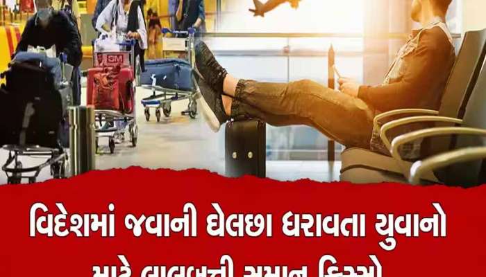 ગુજરાતમાં ફરી વિઝા કૌભાંડનું ભૂત ધ્રૂણ્યું! 23 લોકોના 7 કરોડ 75 લાખનું ફુલેકુ ફેરવાયું