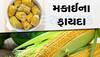 વરસાદમાં મકાઈ ખાવાના શોખીનો પણ નહીં જાણતા હોય તેના આ 10 ફાયદા