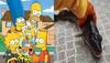 સત્ય સાબિત થઈ 34 વર્ષ જૂના Simpsons કાર્ટુનની ભવિષ્યવાણી, માછીમારને પાણીમાં મળી એક વસ્તુ 