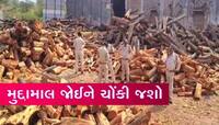 પુષ્પા સ્ટાઇલમાં લાકડાની ચોરીના નેટવર્કનો પર્દાફાશ, આ રીતે ઝડપાયો કરોડોનો મુદ્દામાલ
