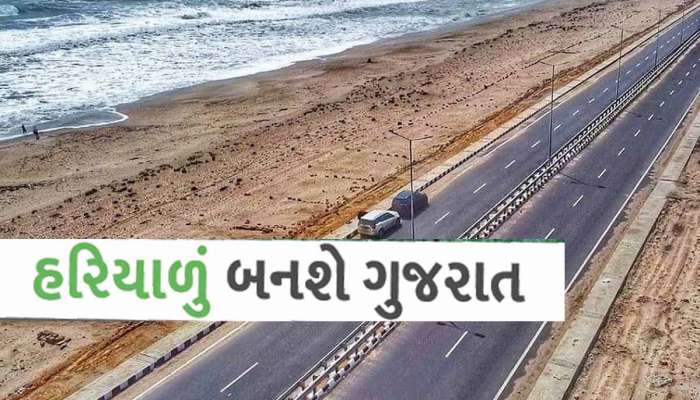 200 કિ.મી લાંબા દ્વારકા-સોમનાથ કોસ્ટલ હાઇ-વે આ રીતે બનશે હરિયાળો, સરકારનો છે આવો પ્લાન