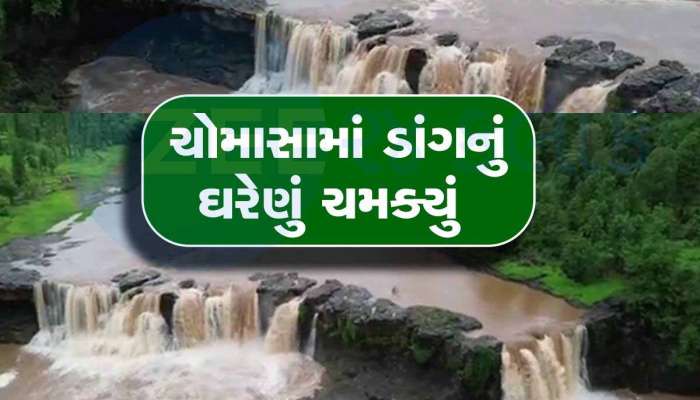  ગુજરાતના આ રમણીય સ્થળોએ સોળે કળાએ ખીલી ઉઠ્યું કુદરતી સૌંદર્ય, નદી-નાળા છલકાવા લાગ્યા!