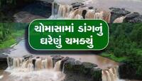 ગુજરાતના આ રમણીય સ્થળોએ ખીલી ઉઠ્યું કુદરતી સૌંદર્ય, નદી-નાળા છલકાવા લાગ્યા!