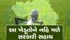 ગુજરાતના 2.62 લાખ ખેડૂતોના ખાતામાં નહિ આવે PM કિસાન યોજનાનો હપ્તો, સરકારે આપ્યું આ કારણ
