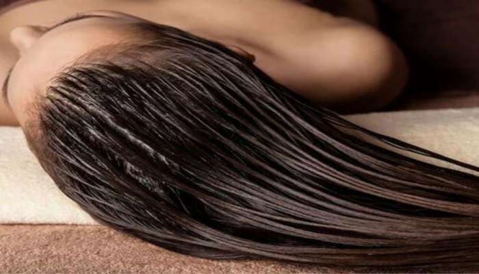 Hair Mask: વાળને રાખવા હોય રેશમ જેવા મુલાયમ તો ટ્રાય કરો આ 2 માંથી કોઈ 1 હેર માસ્ક