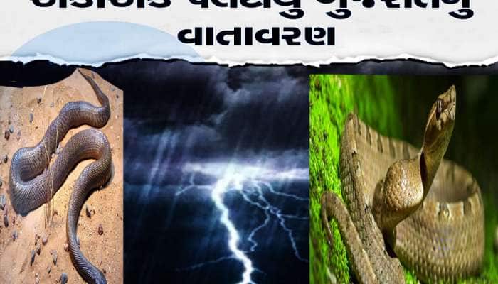 અંબાલાલનું વેણ સાચું રડ્યું તો...સર્પાકાર વીજળી બાદ ગુજરાત પર તૂટી પડશે વરસાદ