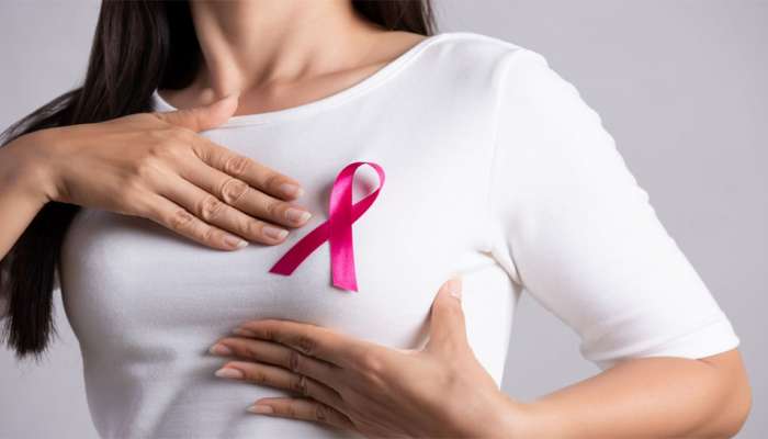 Breast Cancer: આ બીજ ઘટાડી શકે છે બ્રેસ્ટ કેન્સરનું રિસ્ક, મહિલાઓ ડાયટમાં કરવા સામેલ